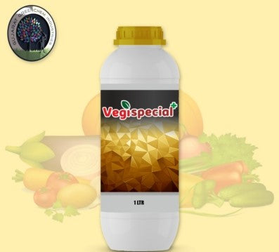 Vegi Special