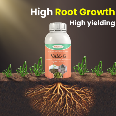 Katyayani Vam-G - Vesicular Arbuscular Mycorrhiza