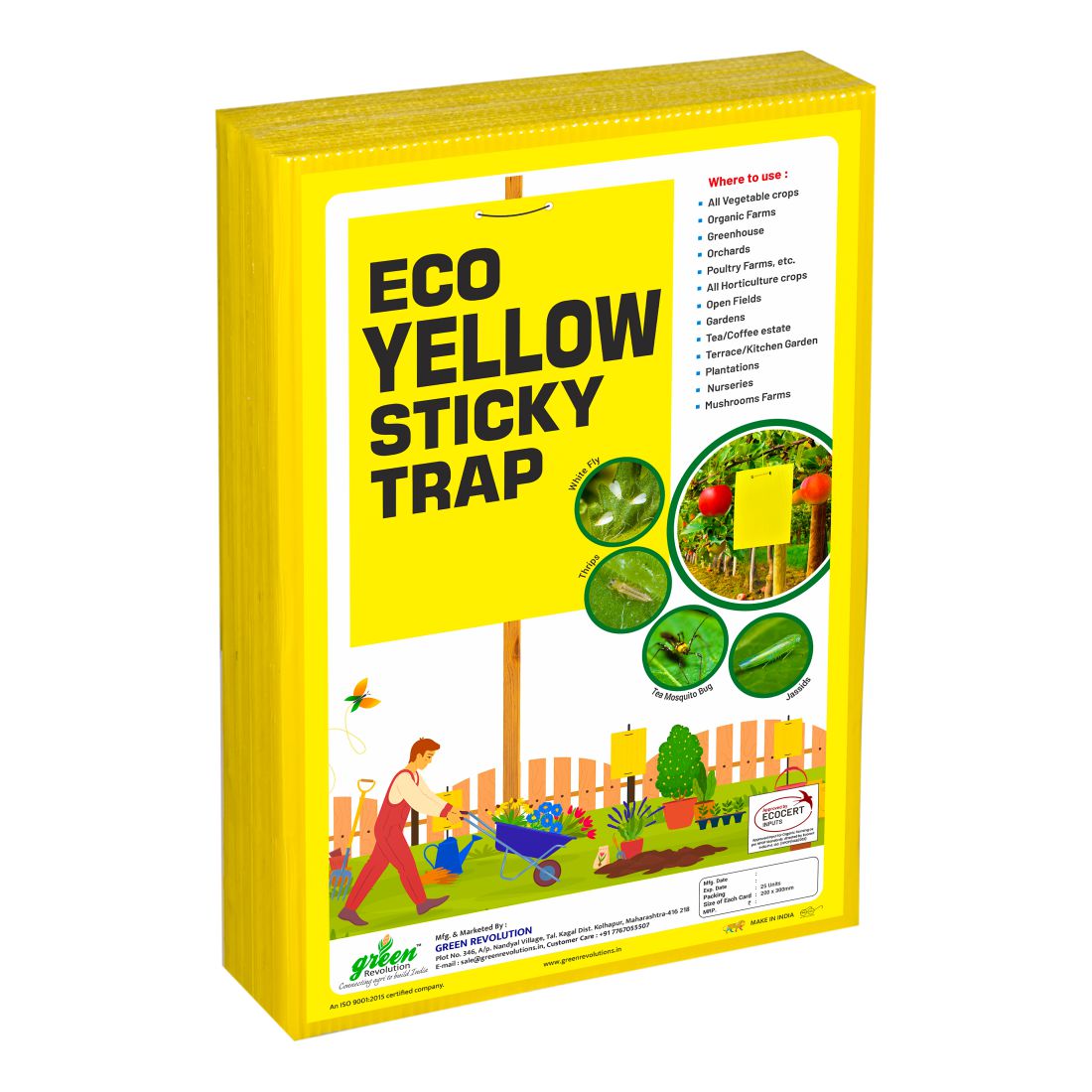 Green Revolution ECO Yellow Sticky Trap/Insect Trap for Garden & Farm | A4 Size