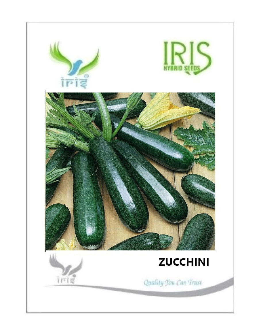 Iris F1 Zucchini