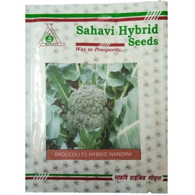 Broccoli Nandini