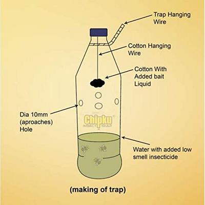 Chipku Fruit Fly attractant Liquid Methyl Eugenol