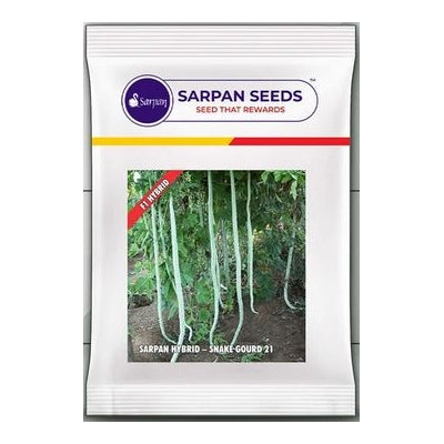 Snakegourd Sarpan 21