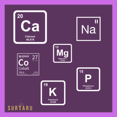 Surtaru Mineral Booster