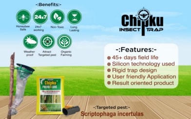 Chipku Yellow Stem Borer Lure