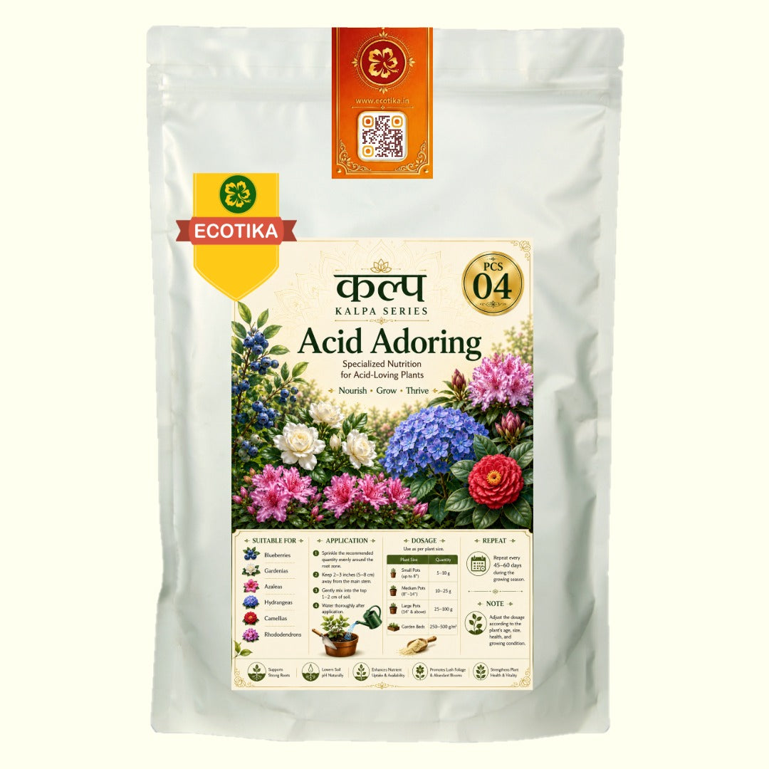 Ecotika Acid Adoring