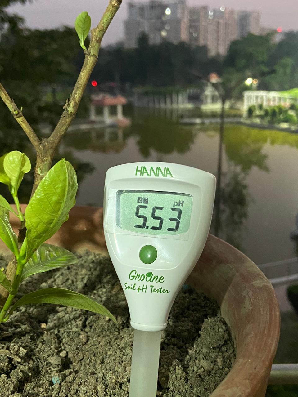 Ecotika Soil Acidifier | Gradual pH Reduction