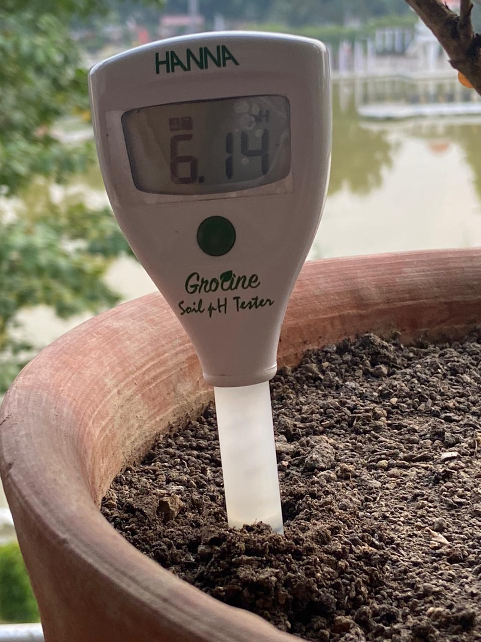 Ecotika Soil Acidifier | Gradual pH Reduction