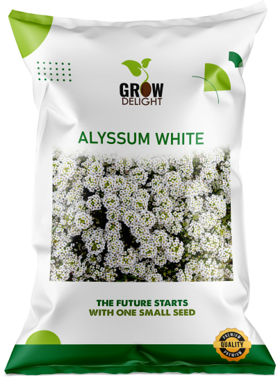 Grow Delight Imported Alyssum White - 300 seeds