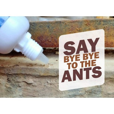 Amish A Eco-Friendly Ant Bait (Pack of  2 bottles) - Turning Point