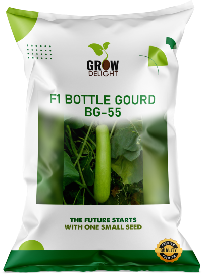 Bottlegourd / Lauki F1 BG-55