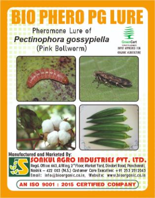 Combo Pack of Bio Phero PG (Pink Bollworm) Lure & Funnel trap set (Pack of 10 Pieces)