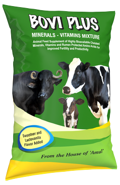 Amul Bovi Plus Vitaminised Mineral Mixture 1 Kg x 40 Packets