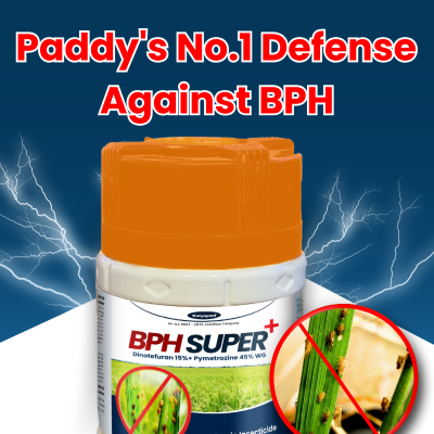 Katyayani BPH Super - Pymetrozine 50% WG