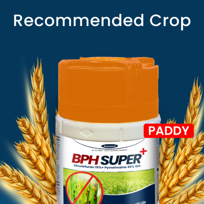 Katyayani BPH Super - Pymetrozine 50% WG