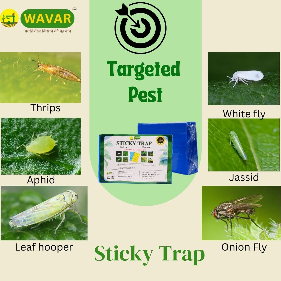 Wavar Blue Sticky Trap for Pest, Thrips, Aphids, Leaf Miner, Jassids, & All Harmful Flying Insects  25 sheet in bundle
