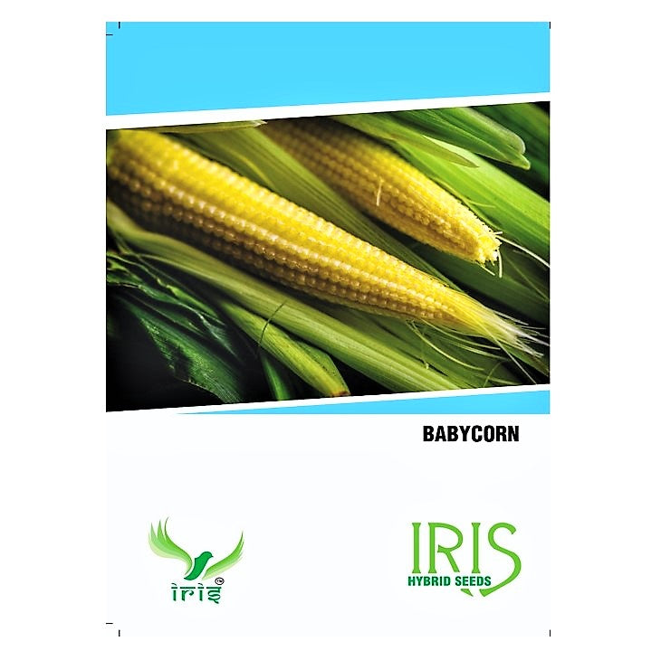 Iris OP Baby Corn