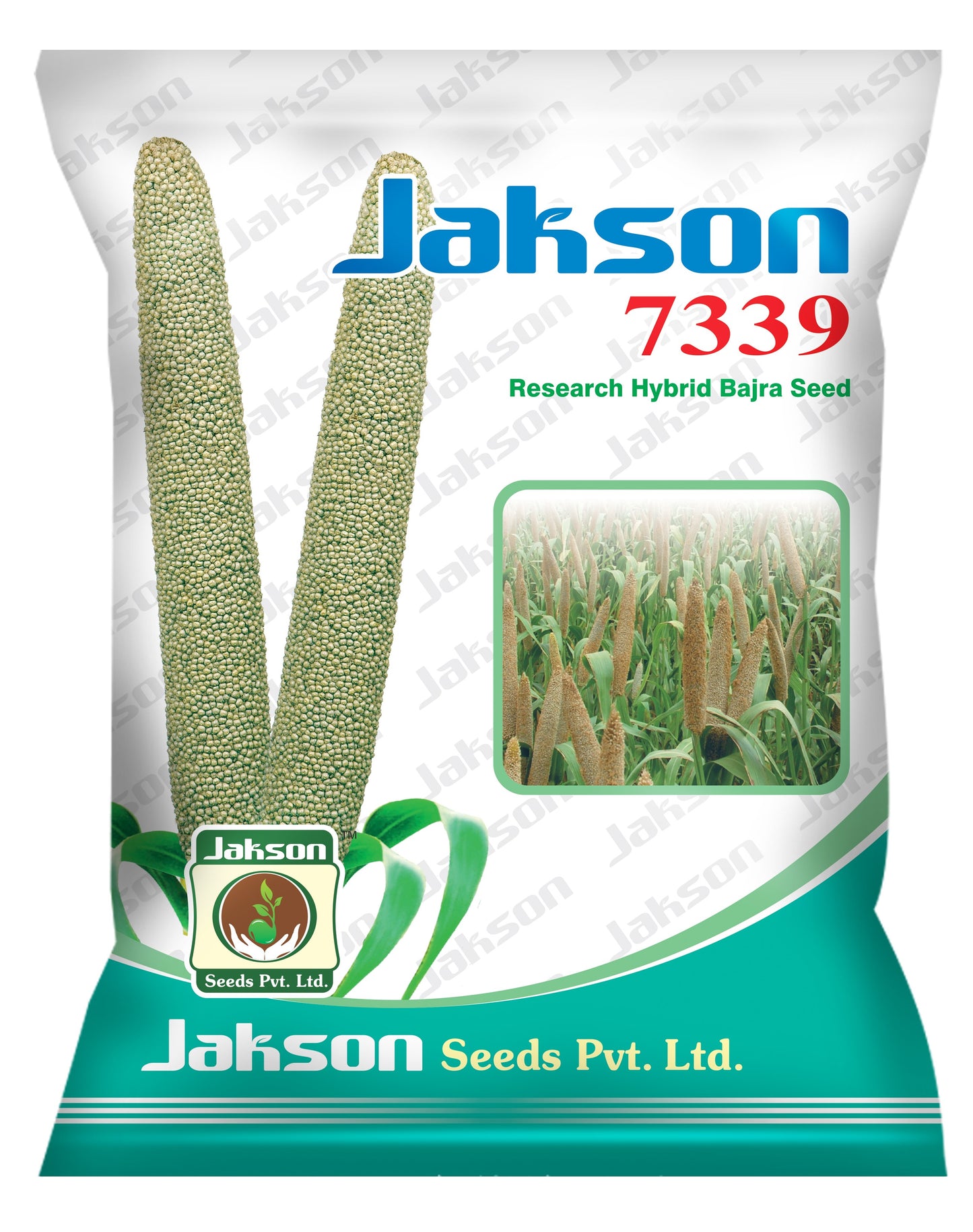 PearlMillet / Bajra Research Hybrid Jakson 7339 Seed