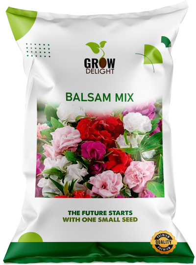 Grow Delight Imported Balsam Mix