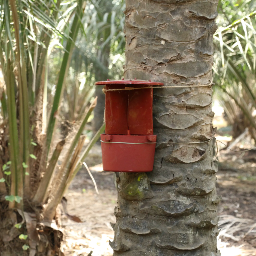 Barrix Hunter Red Palm Weevil Trap & Lure