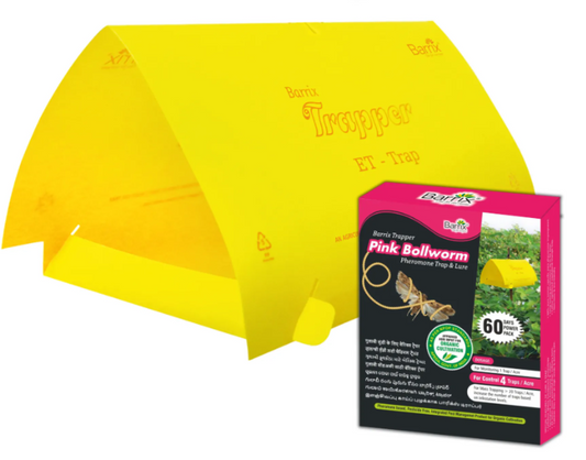 Barrix Trapper Pink Bollworm Pheromone Lure & Trap