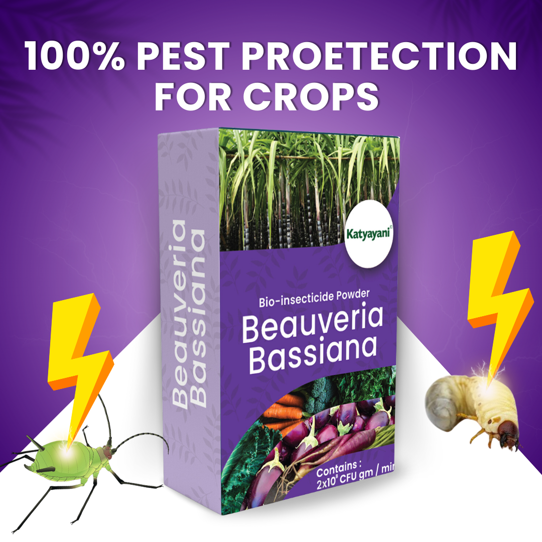 Katyayani Bhasam - Beauveria Bassiana Liquid Bio Insecticide