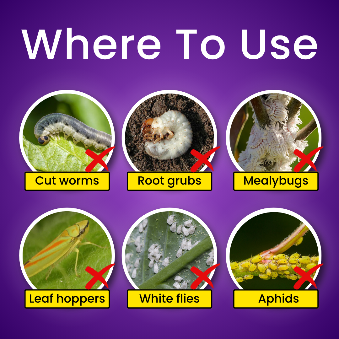 Katyayani Bhasam - Beauveria Bassiana Liquid Bio Insecticide