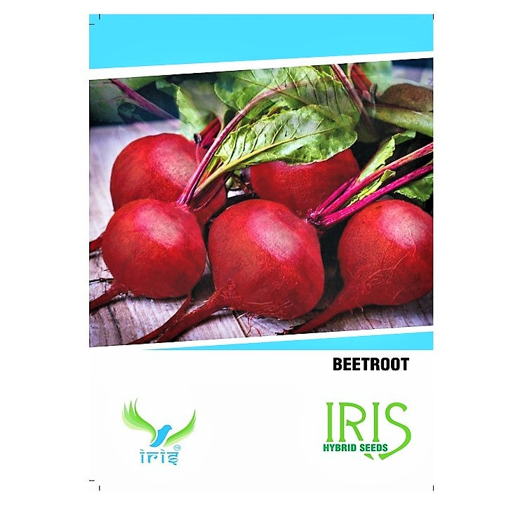 Iris Imported Beetroot
