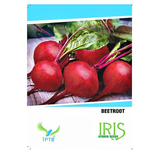 Iris Imported Beetroot