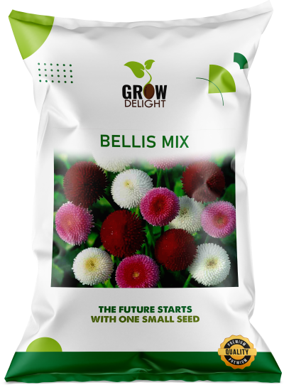 Grow Delight Imported Bellis Mix
