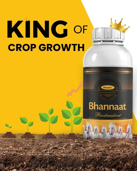 Katyayani Bhannat Biostimulant