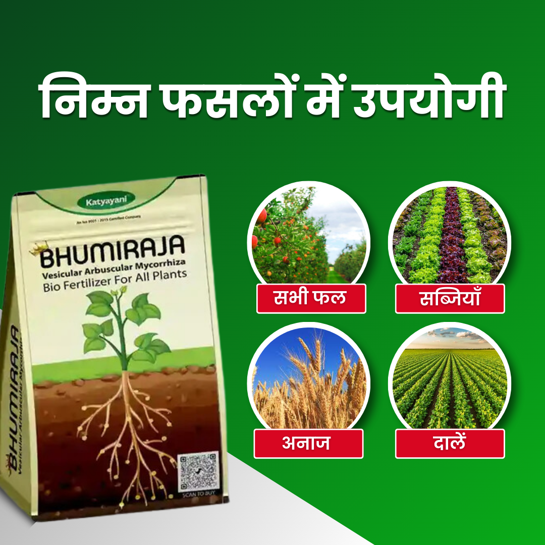 Katyayani Bhumiraja | Mycorrhiza | Bio Fertilizer
