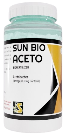 Sonkul Sun Bio Aceto - Acetobacter