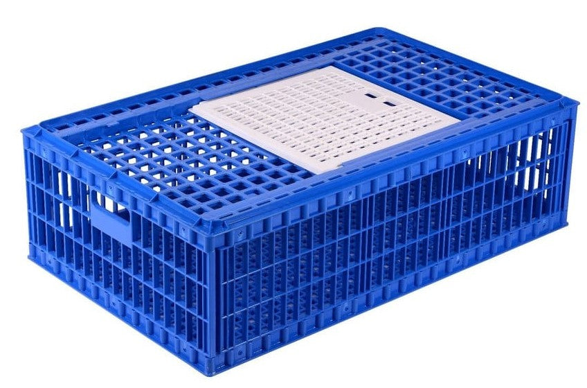 V-Arch Birds Transportation Box