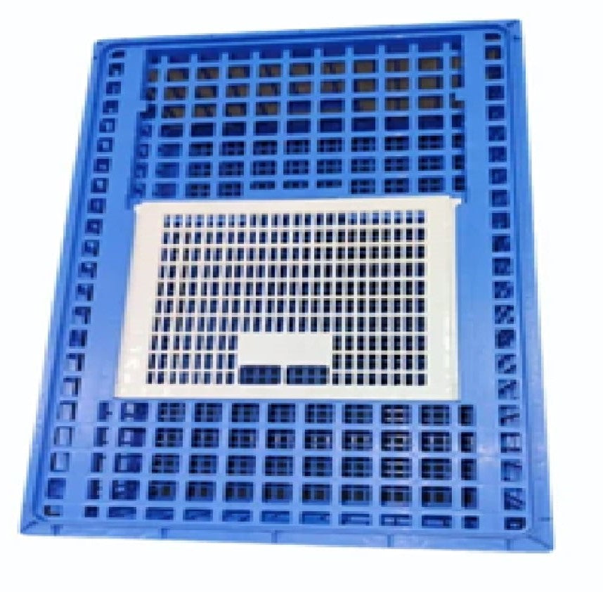 V-Arch Birds Transportation Box