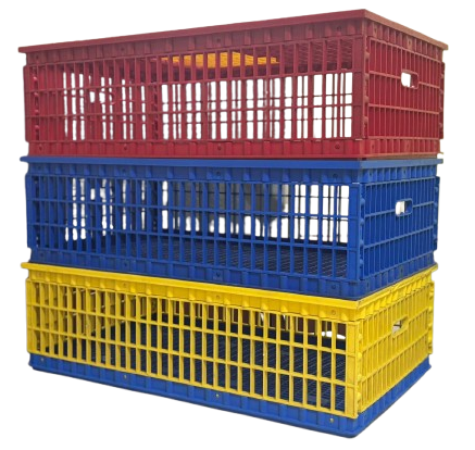 V-Arch Birds Transportation Box