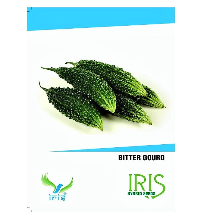 Iris F1 BitterGourd / Karela