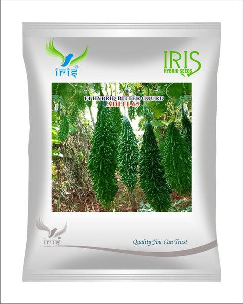 BitterGourd / Karela F1 Iris Aditi 65