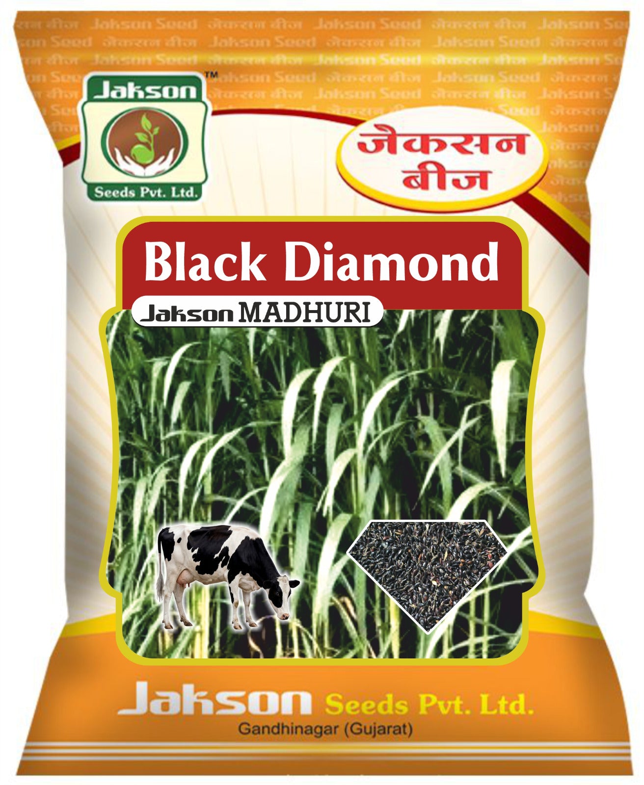Jakson Black Diamond Madhuri Grass Seed