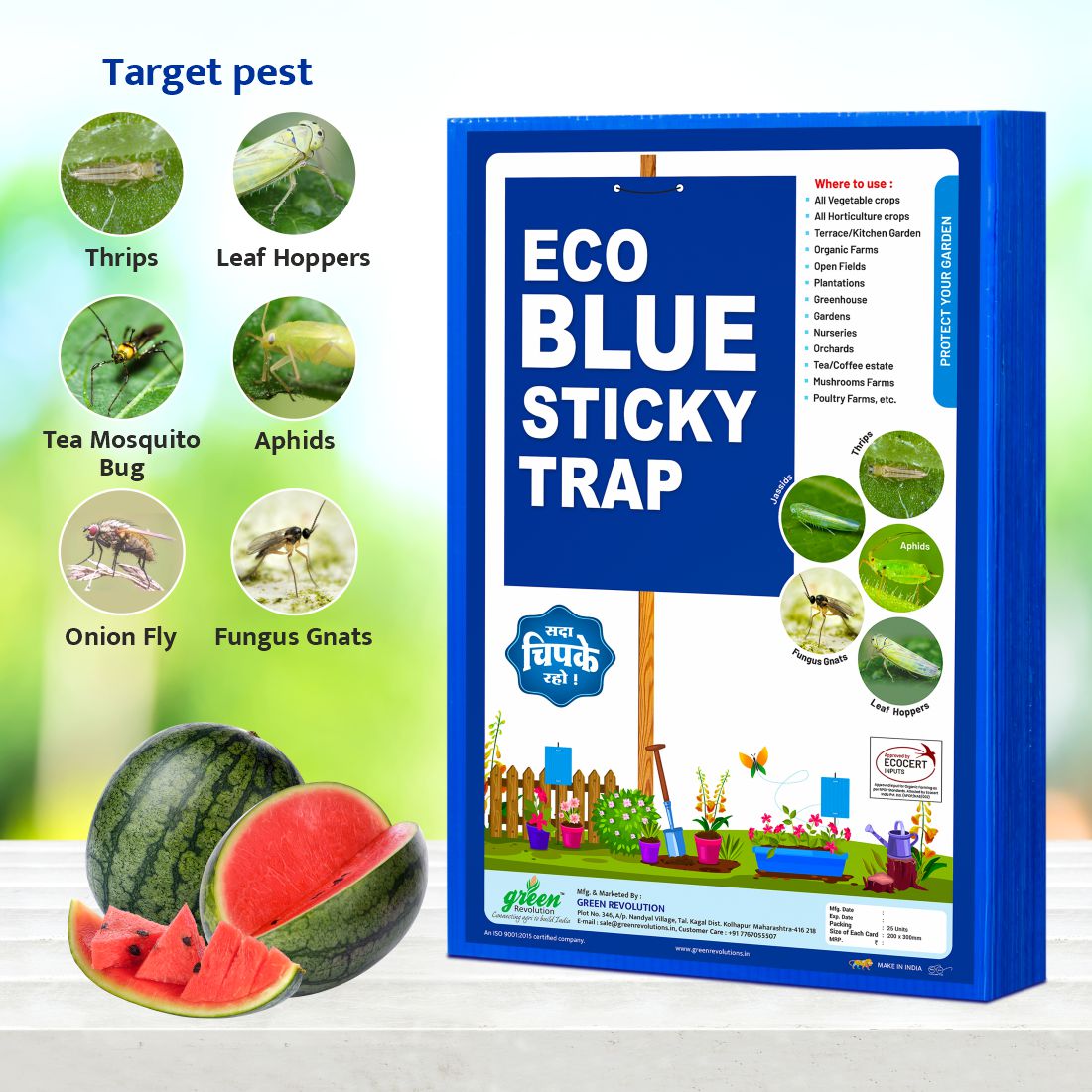 Green Revolution ECO Blue Sticky Trap/Insect Trap for Garden & Farm | A4 Size