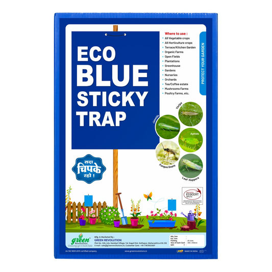 Green Revolution ECO Blue Sticky Trap/Insect Trap for Garden & Farm | A4 Size