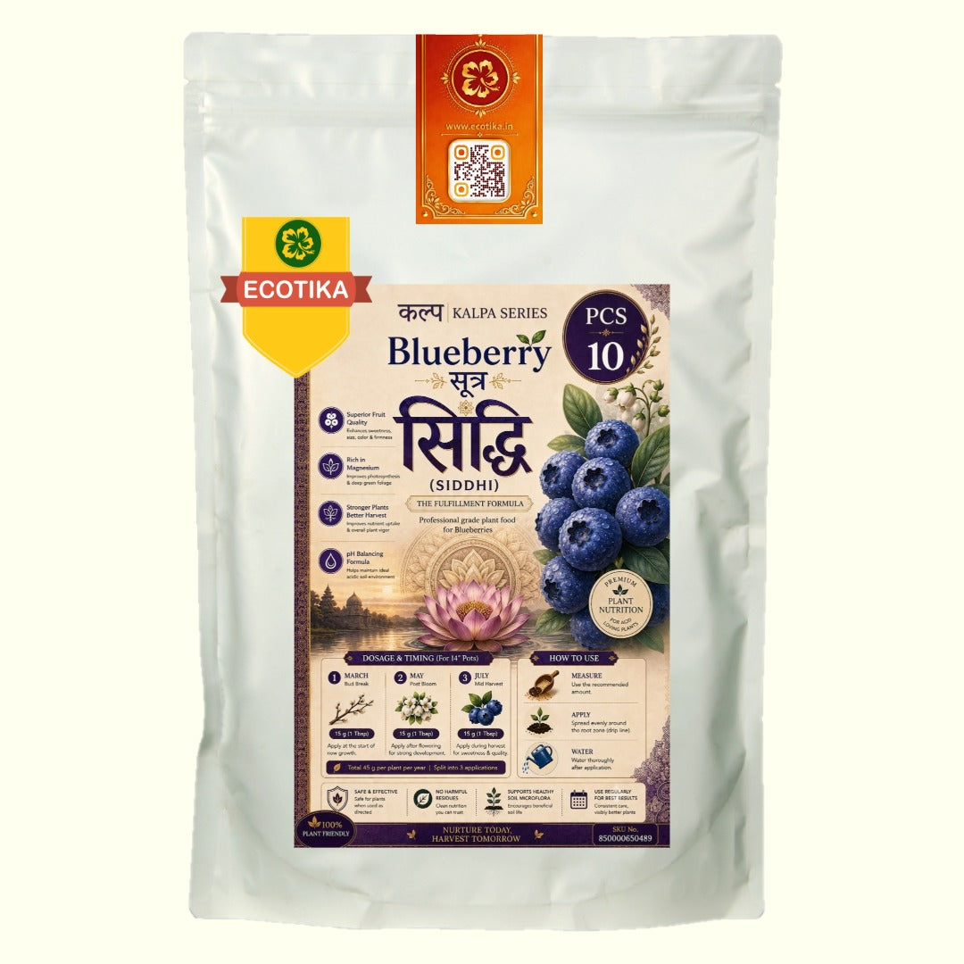Ecotika Blueberry Sutra (Siddhi) Plant Nutrition for Established Plants