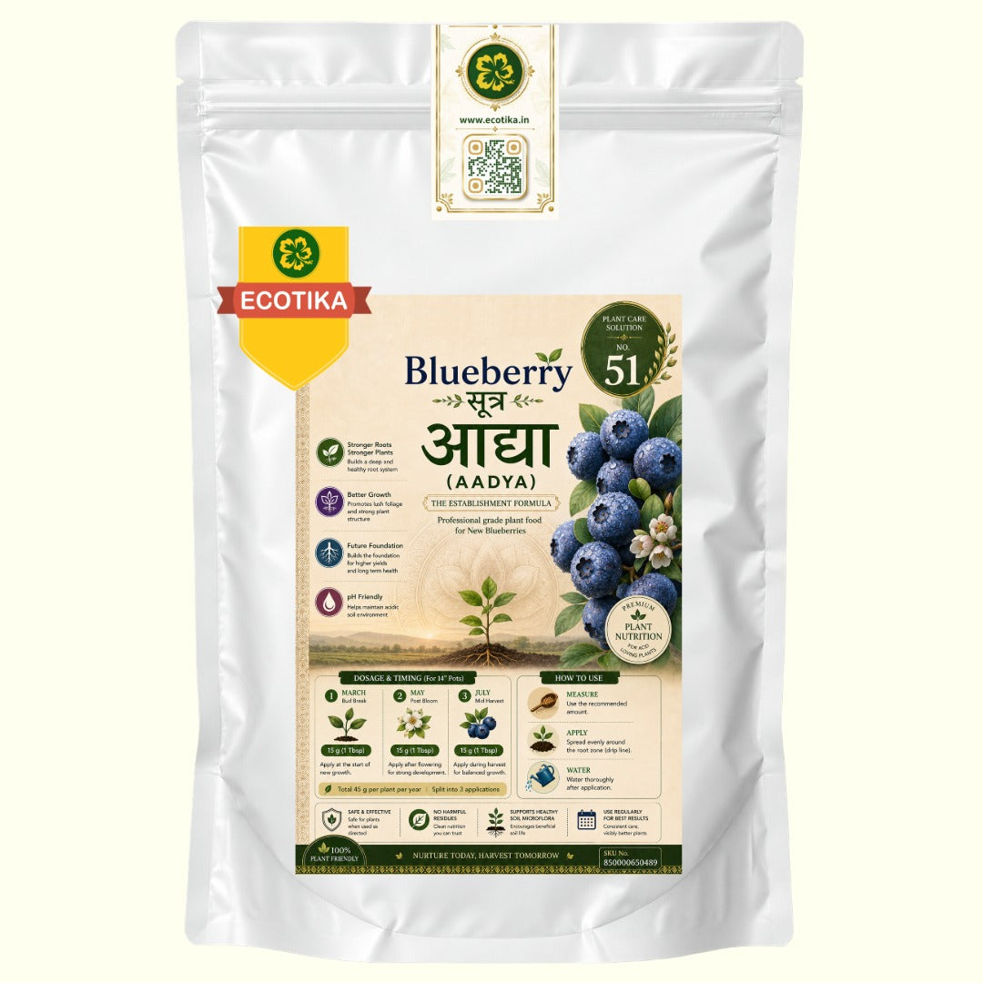 Ecotika Blueberry Sutra (Aadya) | Acid-Loving Starter Fertilizer for Potted Blueberries