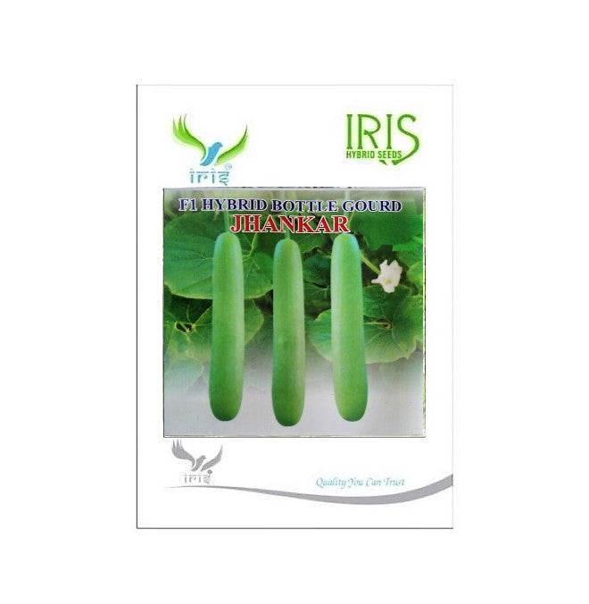 BottleGourd / Lauki F1 Iris Long Jhankar