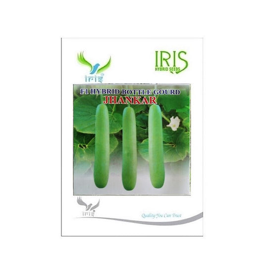 BottleGourd / Lauki F1 Iris Long Jhankar
