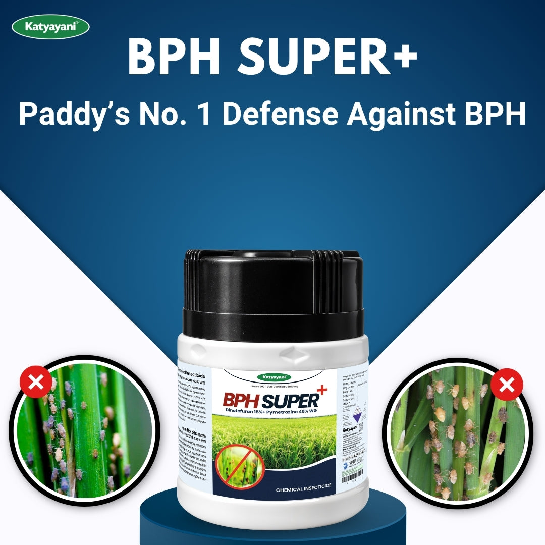 Katyayani BPH Super+ - Dinotefuran 15% + Pymetrozine 45% WG