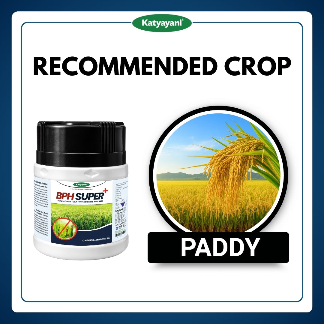 Katyayani BPH Super+ - Dinotefuran 15% + Pymetrozine 45% WG