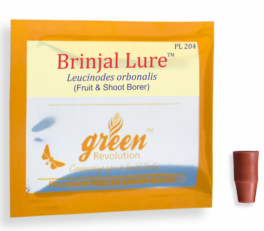 Brinjal Pheromone Lure for Brinjal Fruit & Shoot Borer