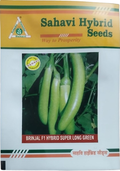 Brinjal Super Long Green