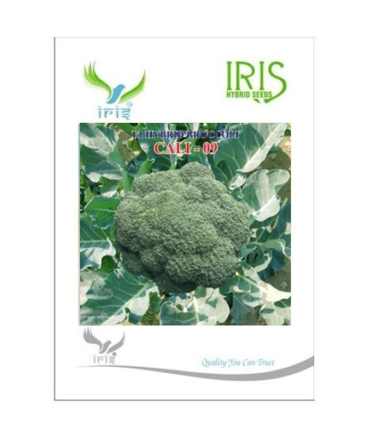Iris Broccoli F-1 Hybrid Cali-09